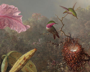 Martin Johnson Heade "Cattleya Orchid and Three Hummingbirds" (c.1871)