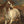 Style of Anthony van Dyck 