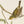 John Gould 