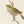 John Gould 