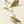 John Gould 