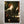 Dante Gabriel Rossetti 