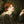 Dante Gabriel Rossetti 