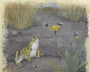 Jan van Oort "Frog with a Dandelion with Flies" (c.1877 - c.1938) - Mabon Gallery