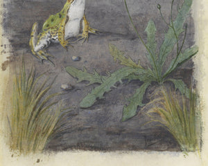 Jan van Oort "Frog with a Dandelion with Flies" (c.1877 - c.1938) - Mabon Gallery
