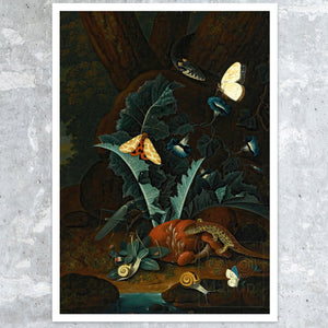 Johann Falch "Forest Floor" (c.1687 - 1727) - Mabon Gallery