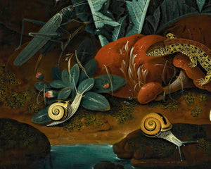 Johann Falch "Forest Floor" (c.1687 - 1727) - Mabon Gallery