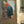 Johannes Vermeer 