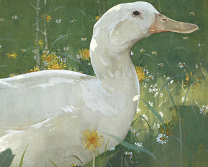 John Crawhall "The White Drake" (c.1895) - Mabon Gallery