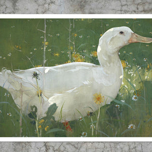 John Crawhall "The White Drake" (c.1895) - Mabon Gallery