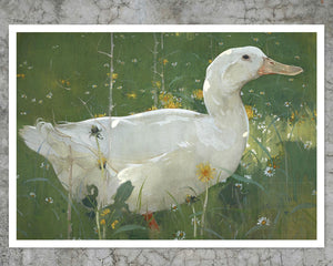 John Crawhall "The White Drake" (c.1895) - Mabon Gallery