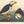 John James Audubon 