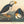 John James Audubon 