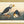 John James Audubon 