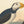 John James Audubon 