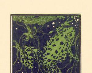 Julia de Graag "Zwemmende Kikker / Swimming Frog" (c.1910 - 1925) - Mabon Gallery