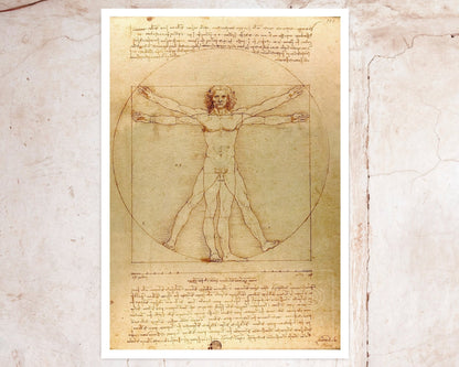 Leonardo da Vinci "Vitruvian Man" (c.1490) - Mabon Gallery