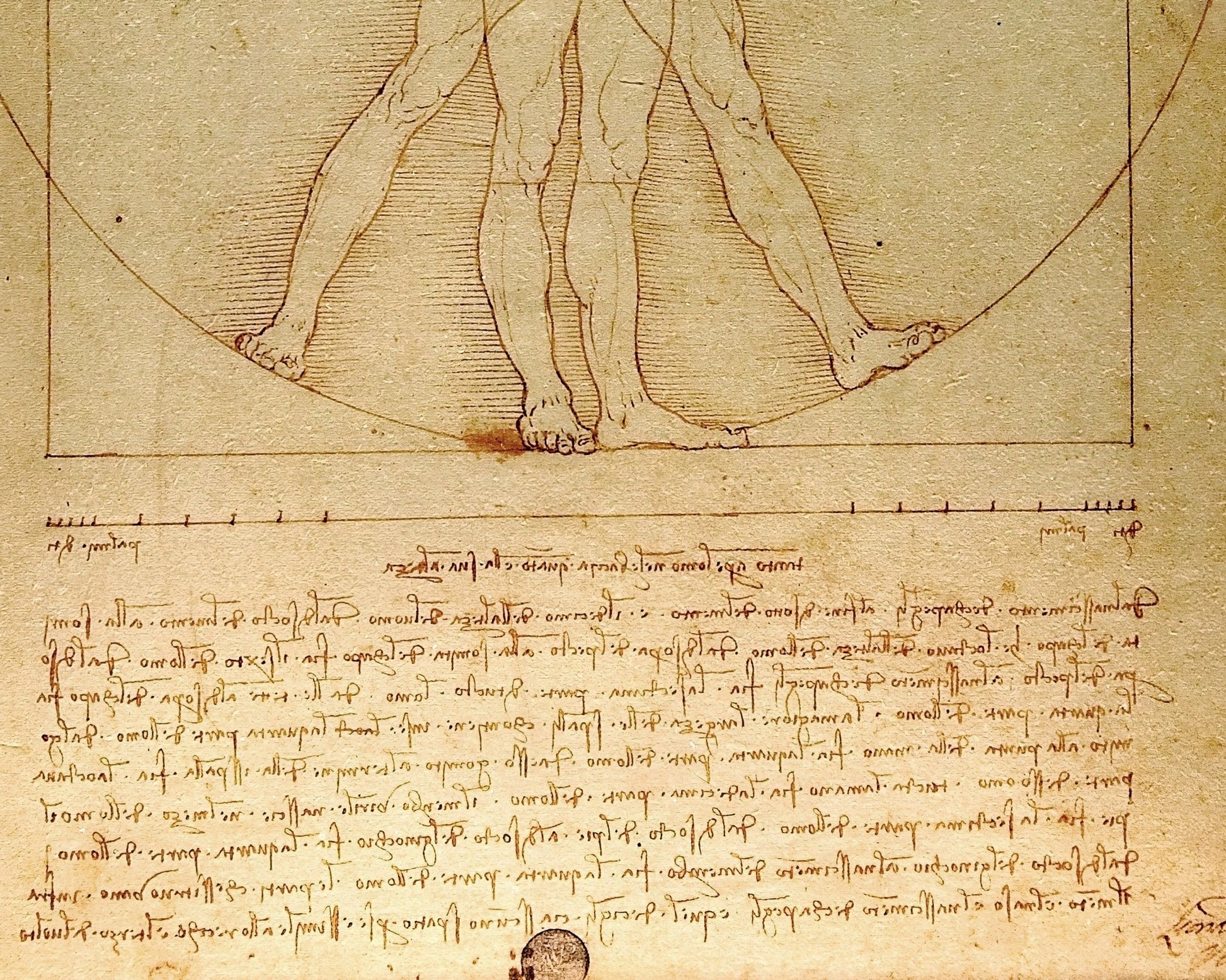 Leonardo da Vinci "Vitruvian Man" (c.1490) - Mabon Gallery