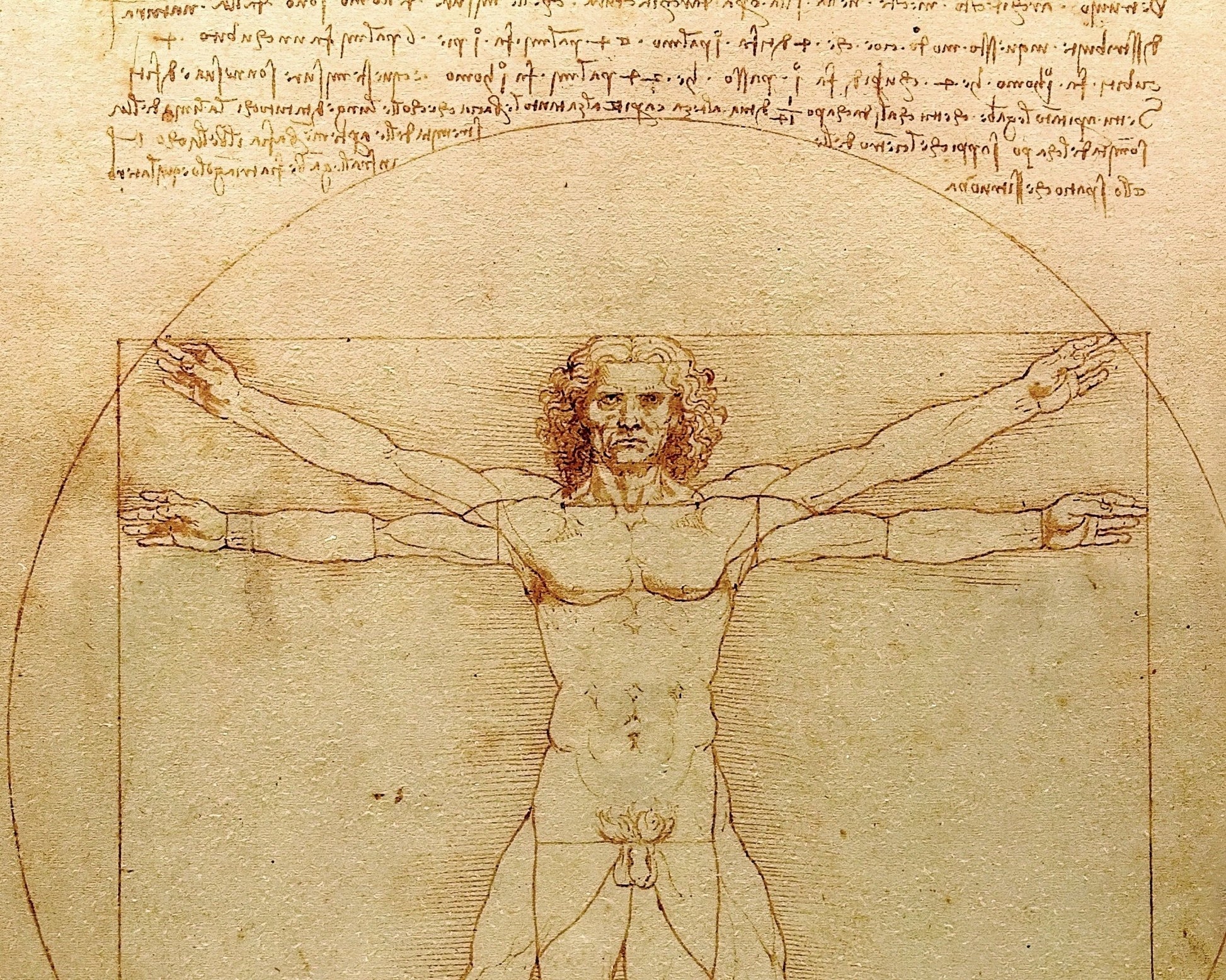 Leonardo da Vinci "Vitruvian Man" (c.1490) - Mabon Gallery