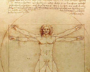 Leonardo da Vinci "Vitruvian Man" (c.1490) - Mabon Gallery