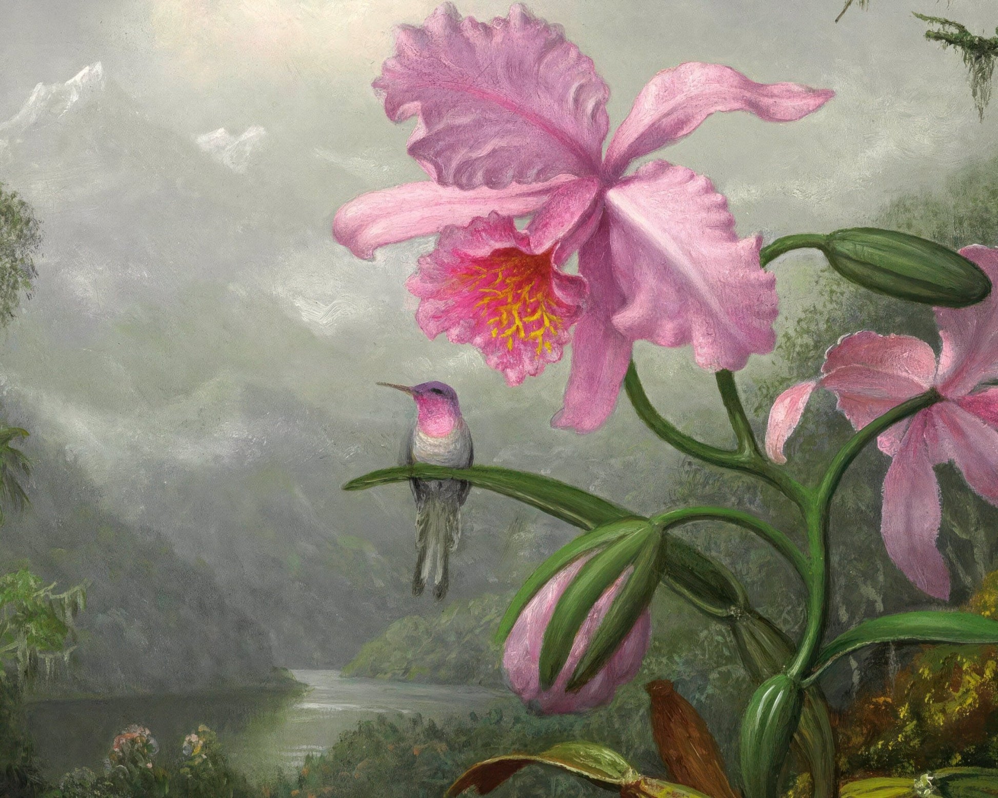 Martin Johnson Heade "Hummingbird Perched on the Orchid Plant" (c.1901) - Mabon Gallery