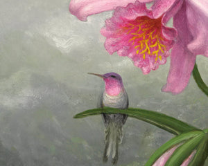 Martin Johnson Heade "Hummingbird Perched on the Orchid Plant" (c.1901) - Mabon Gallery