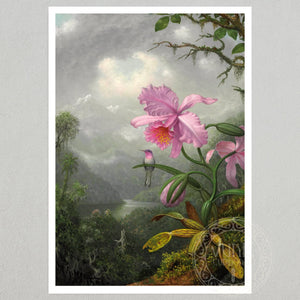 Martin Johnson Heade "Hummingbird Perched on the Orchid Plant" (c.1901) - Mabon Gallery