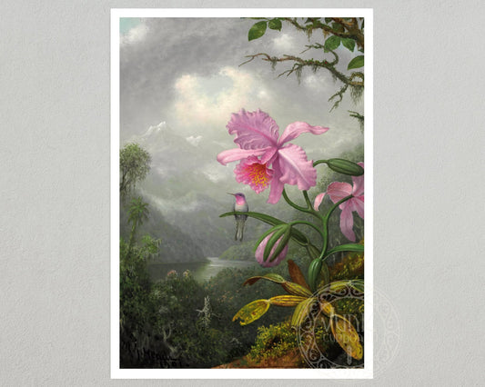 Martin Johnson Heade "Hummingbird Perched on the Orchid Plant" (c.1901) - Mabon Gallery