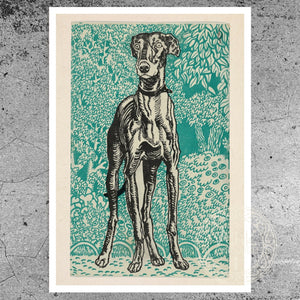 Moriz Jung "Greyhound" (c.1912) - Mabon Gallery