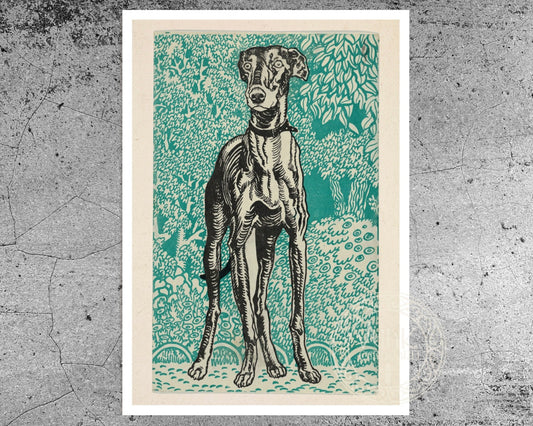 Moriz Jung "Greyhound" (c.1912) - Mabon Gallery