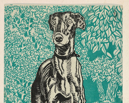 Moriz Jung "Greyhound" (c.1912) - Mabon Gallery