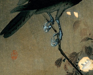 Ohara Koson "Crow and Cherry Blossom" (c.1910) - Mabon Gallery