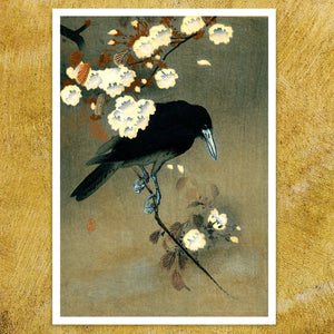 Ohara Koson "Crow and Cherry Blossom" (c.1910) - Mabon Gallery