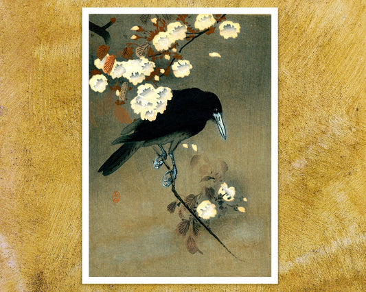 Ohara Koson "Crow and Cherry Blossom" (c.1910) - Mabon Gallery