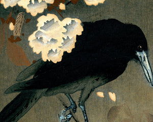 Ohara Koson "Crow and Cherry Blossom" (c.1910) - Mabon Gallery