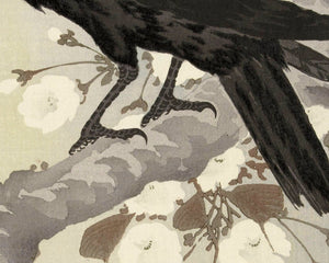 Ohara Koson "Crow at Full Moon" (c.1920) - Mabon Gallery