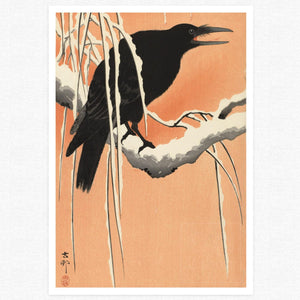 Ohara Koson "Crow on Snowy Branch" (c.1910) - Mabon Gallery