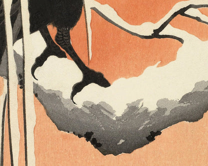 Ohara Koson "Crow on Snowy Branch" (c.1910) - Mabon Gallery