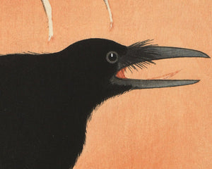 Ohara Koson "Crow on Snowy Branch" (c.1910) - Mabon Gallery