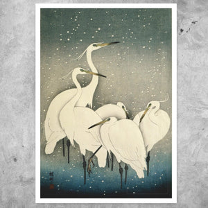 Ohara Koson "Group of Egrets in Snow" (c.1925) - Mabon Gallery