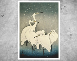 Ohara Koson "Group of Egrets in Snow" (c.1925) - Mabon Gallery