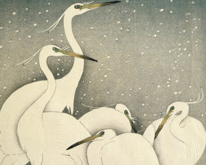 Ohara Koson "Group of Egrets in Snow" (c.1925) - Mabon Gallery