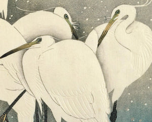 Ohara Koson "Group of Egrets in Snow" (c.1925) - Mabon Gallery