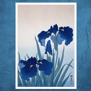 Ohara Koson "Irisis" (c.1920) - Mabon Gallery