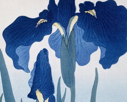 Ohara Koson "Irisis" (c.1920) - Mabon Gallery