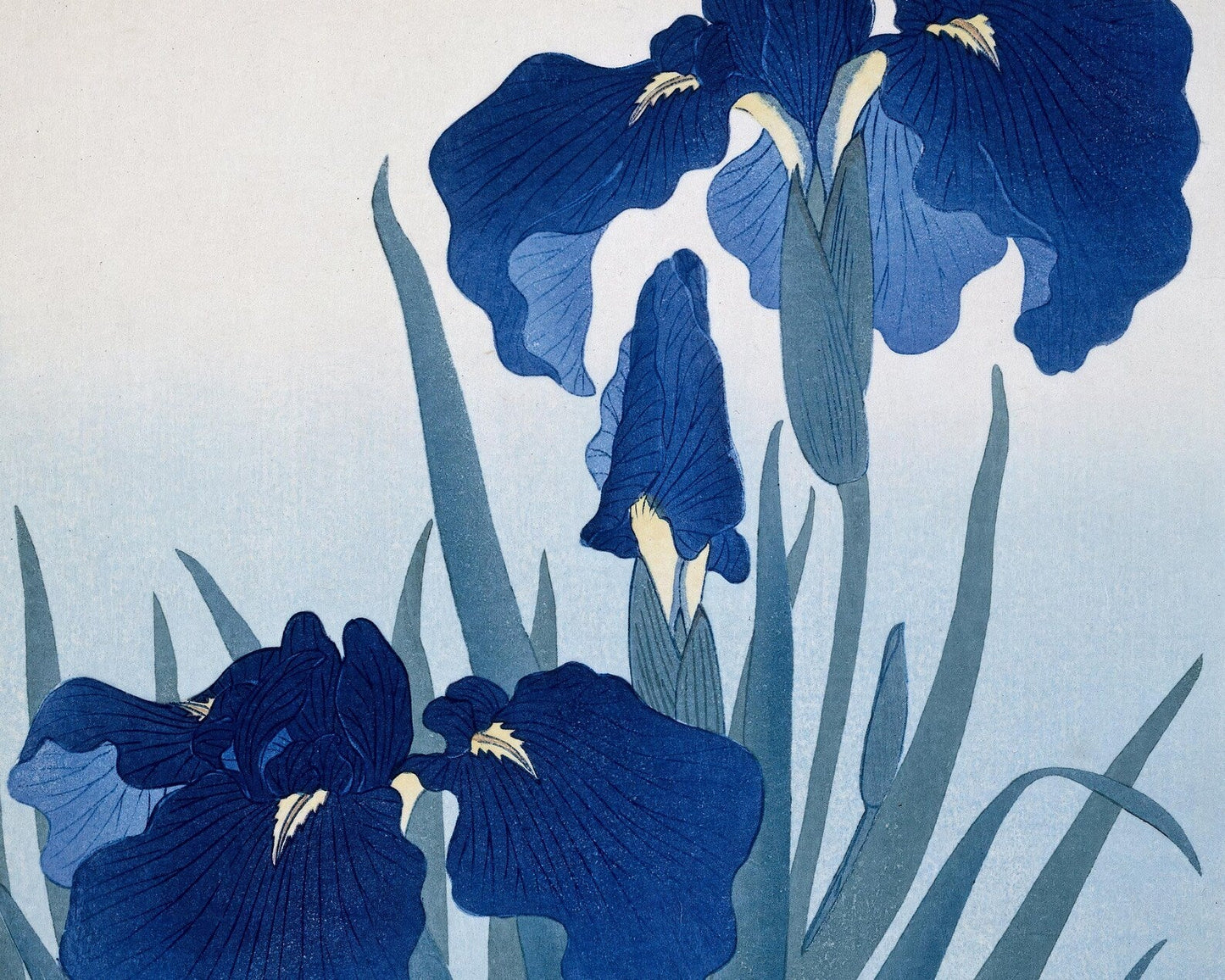 Ohara Koson "Irisis" (c.1920) - Mabon Gallery