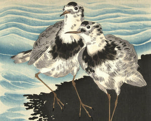 Ohara Koson "Sandpipers" (c.1925) - Mabon Gallery