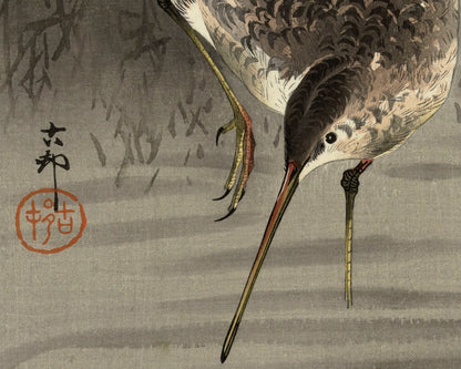 Ohara Koson "Snipe in Water" (c.1910) - Mabon Gallery