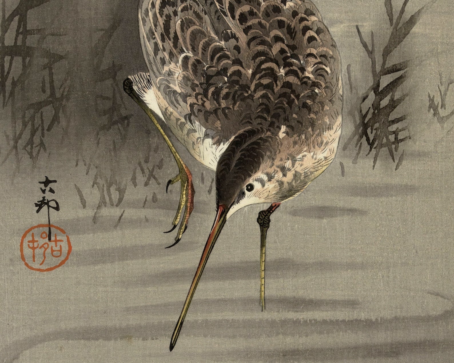 Ohara Koson "Snipe in Water" (c.1910) - Mabon Gallery