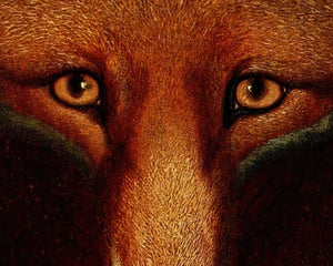 Philip Reinagle "Reynard - The Fox" (c.1800) - Mabon Gallery